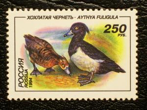 Russia Scott #6221 mnh