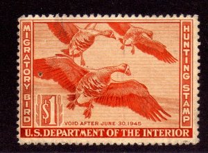 RW11 White Fronted Geese