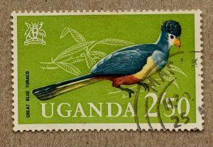 Uganda 1965 2.5/ Turaco bird, used. Scott 107, CV $0.60