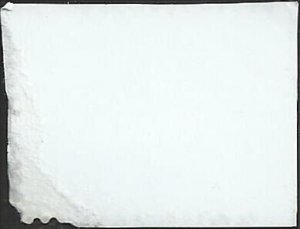 # 4865 USED CHRISTMAS CACTUS