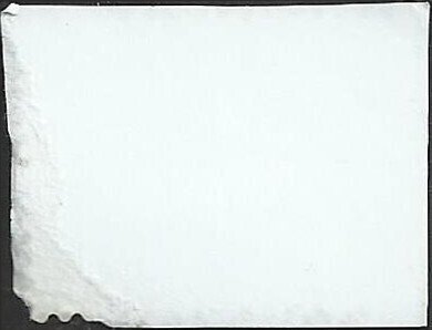 # 4865 USED CHRISTMAS CACTUS