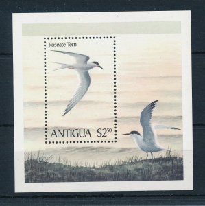 [32885] Antigua  Birds Oiseaux�Uccelli  Souvenir Sheet MNH