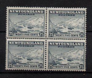 Newfoundland 1932 25c MNH block #219 Perf 13.5 WS34659