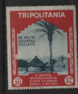 TRIPOLITANIA, 75   GUM DAMAGE