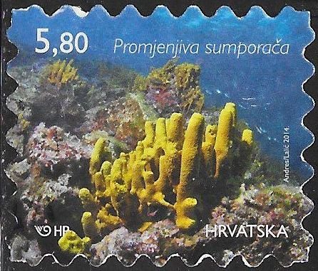 Croatia 902b  Used - Marine Life - Gold Sponge (Aplysina aerophoba)