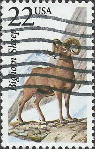 # 2288 USED BIGHORN SHEEP