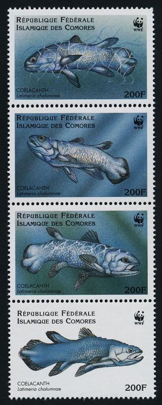 Comoro Islands 833 MNH Fish, WWF, Coelacanth