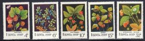 Russia 5023-27 - Mint-NH - Berries (1982) ($1.65)