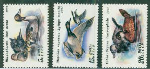 Russia #6009-11 NH SET BIN $1.00