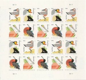 4994a, Coastal Birds Sheet of 20 Post Card  -  Stamps - Stuart Katz