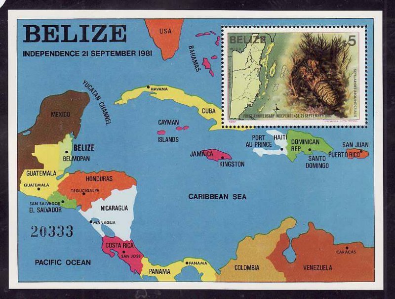 Belize-Sc#652- id9-unused NH sheet-Marine Life-Maps-1982-