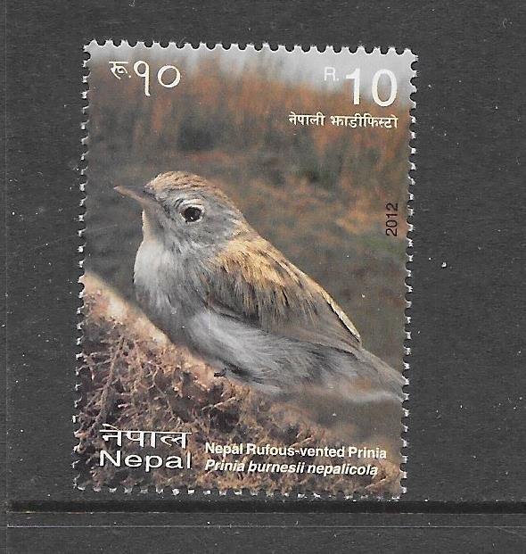 BIRDS - NEPAL #873e GRASS BABBLER MNH