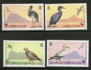 Gibraltar 1991 WWF Stork Vulture Shag Barbary Birds Wildlife Sc 591-94 MNH # 112