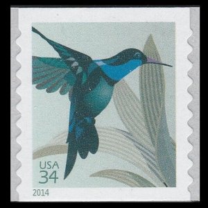 US 4858 Hummingbird 34c coil single MNH 2014