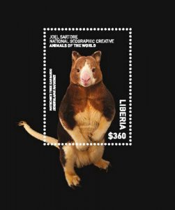 Liberia 2017 - Tree Kangaroo Nat Geo Animals of the World - Souvenir Sheet - MNH