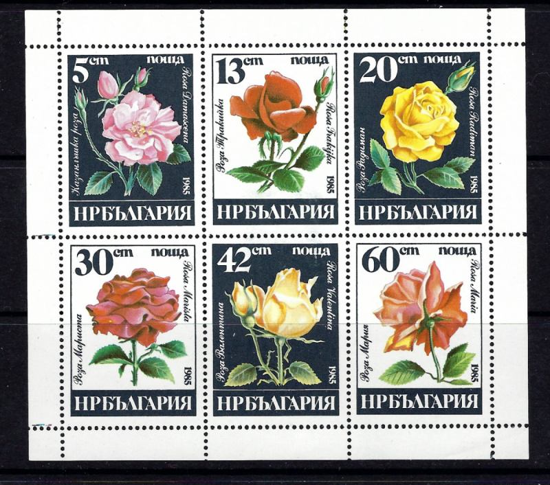 Bulgaria 3080a MNH 1985 Roses sheet of 6