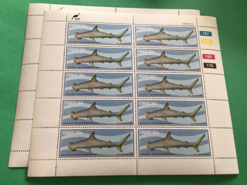 Tiger shark & Hammerhead shark Ciskei mint never hinged stamps A10922