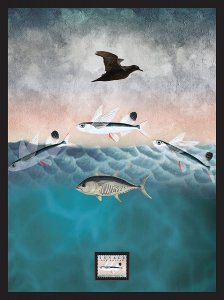 Marine Life, Flying Fish - Framed Wall Art with Postage Stamp