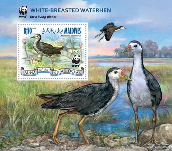 MALDIVES 2013 SHEET WWF WHITE BREASTED WATERHEN BIRDS OISEAUX WILDLIFE mld13101b