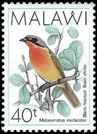 MALAWI   #527 MNH (1)