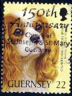 Guernsey Dog Club Cent., Guernsey stamp SC#736 used