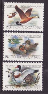 Russia-Sc#5783-5- id6-unused NH set-Birds-Ducks-1989-