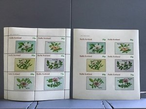 Staffa Scotland plants flowers Soft Leaved Rose mint never hinged  stamps R25443
