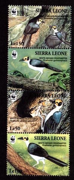 Sierra Leone # 1738 Mint NH WWF Birds!