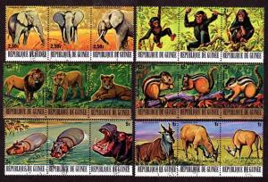 Guinea Jungle Animal Strips!