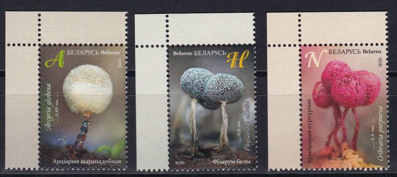 Belarus, Mushrooms, Myxomycetes MNH / 2020