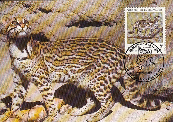 El Salvador 1988 Maxicard Sc #1194d 55c Ocelot WWF