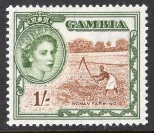 GAMBIA SCOTT 160