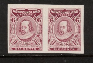 Newfoundland #92ab Extra Fine Never Hinged Imperf Pair