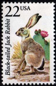SC#2305 22¢ North American Wildlife: Black-tailed Jack Rabbit (1987) MNH