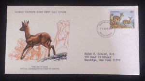 EL)1977 LESOTHO, WORLD WILDLIFE FUND, WWF, JUMP ROCKS, CIRCULATED TO NEW YORK -