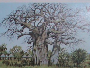 ​VENDA -   RARE ENDANGER TREES PLANTS -FOREST MNH STAMP SET VERY FINE