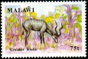 Greater Kudu, Malawi stamp SC#584 MNH