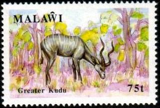 Greater Kudu, Malawi stamp SC#584 MNH