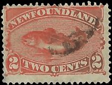 NEWFOUNDLAND   #48 USED (6)