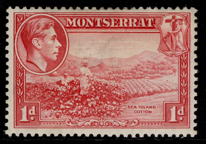 MONTSERRAT GVI SG102, 1d carmine, M MINT. PERF 13