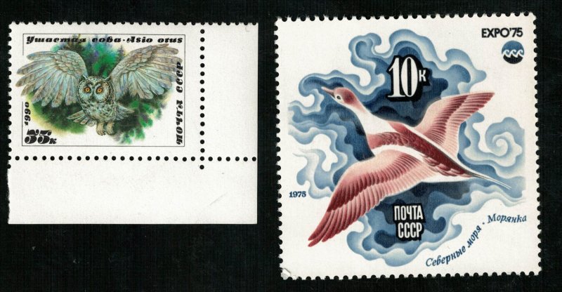 Birds, (3353-T)