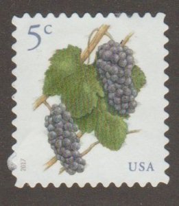 USA 5177 Grapes