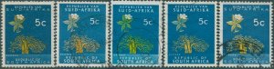 South Africa 1961 SG204 5c Baobab both forms and shades (5) FU