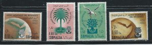 Somalia 239-41 C67 1960 WRY set MNH