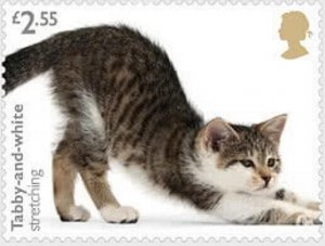 GB 4680 Cats Tabby-and-white stretching  2.55 single MNH 2022