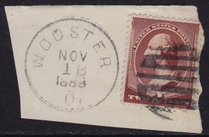USA - 1883 - Scott #210 - used on piece - WOOSTER O. pmk