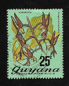 Guyana 1973 - U - Scott #141A
