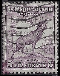 NEWFOUNDLAND #257 USED (1)