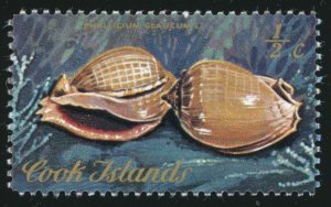 COOK ISLANDS Sc 381 MNH - 1974 ½¢ Cook Island Sea Shells