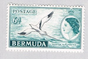 Bermuda 152 Unused Tropic Bird 1953 (BP64220)